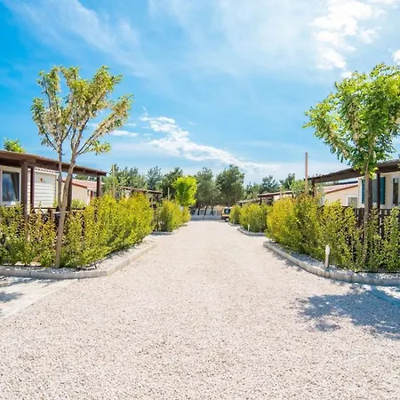 Drage 17819b * Пакоштане